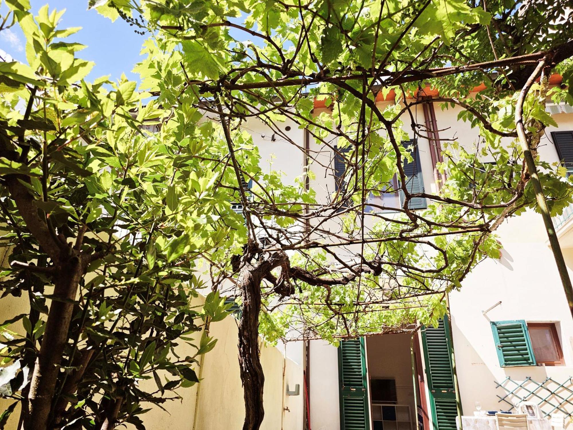 Alice'S Garden Apartment Florence Exterior photo